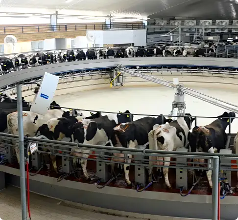 Generadores Diésel Cat