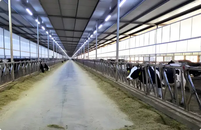 Generadores Diésel Cat